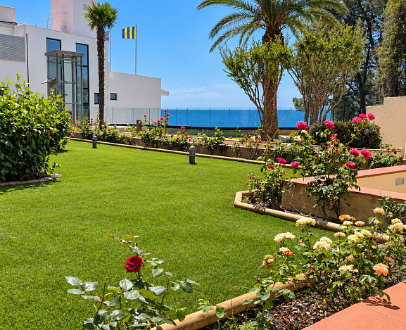 Suite jardín