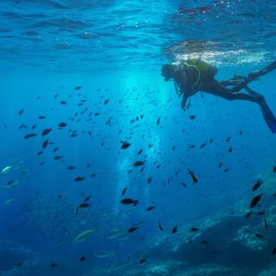 Escuela de submarinismo PADI Tossa de Mar - Costa Brava